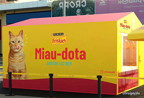 miau_dota