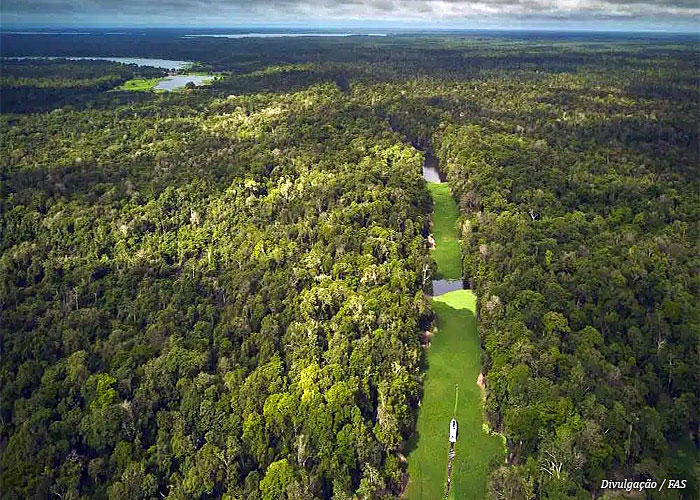floresta-amazonica