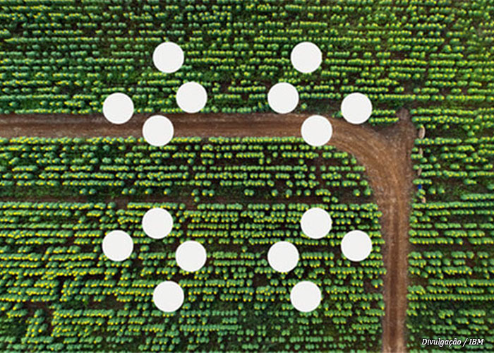 ibm-cloud-carbono