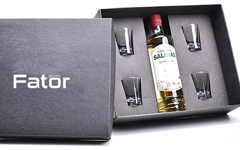 kit-salinas-fator