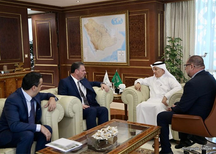 arabia-brasil-caprinos