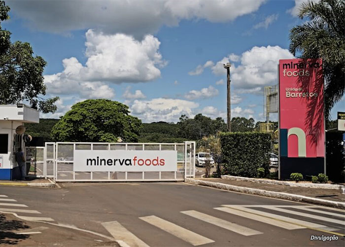 entrada-minerva-foods