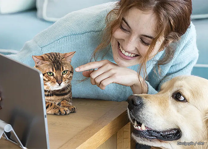 mais-pet