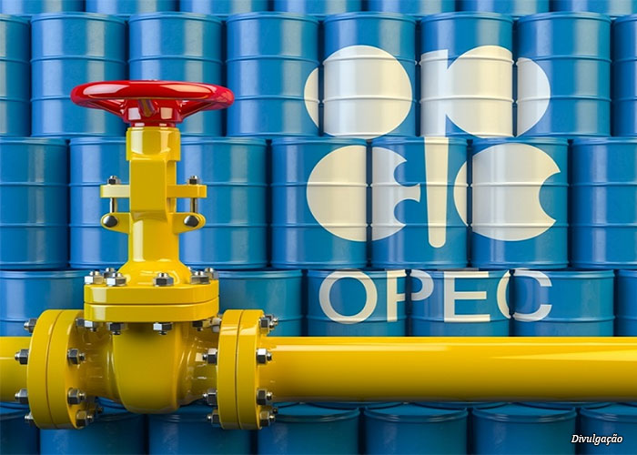 opec-registro