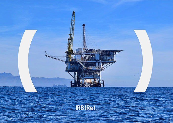irb-participa