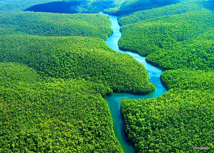 jornada-amazonia