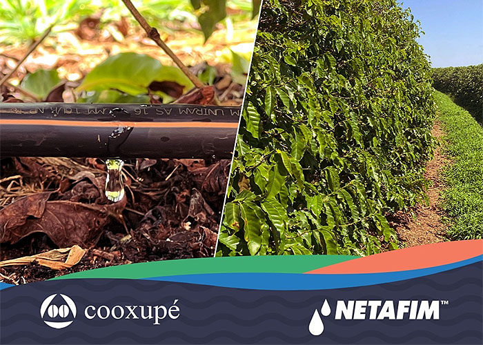 parceria-cooxupe-netafim