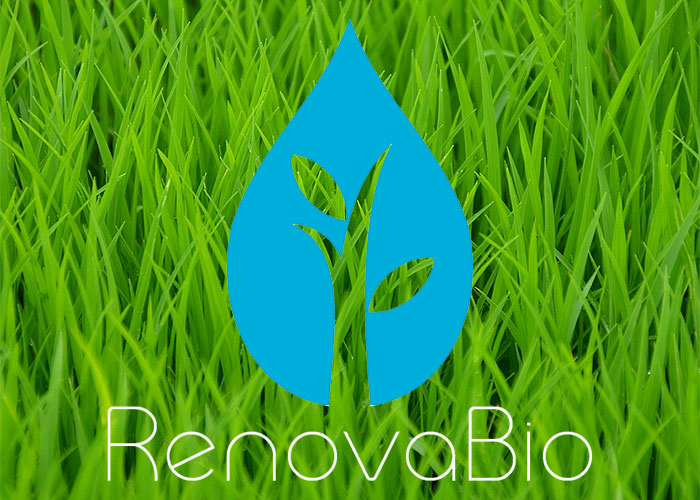 renovabio2