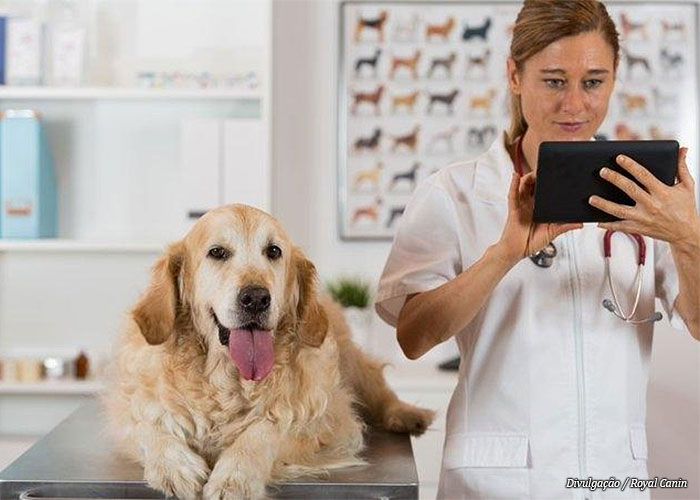royal-canin-capacita