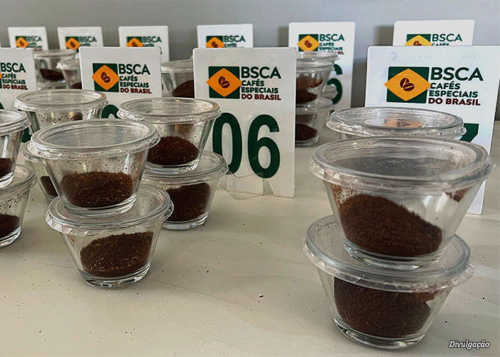 cafes-produzidos-bsca