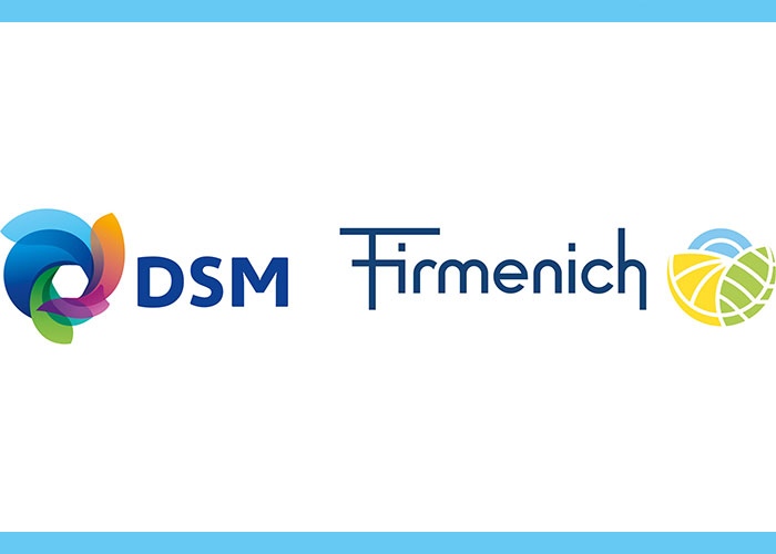 dsm-firmenich