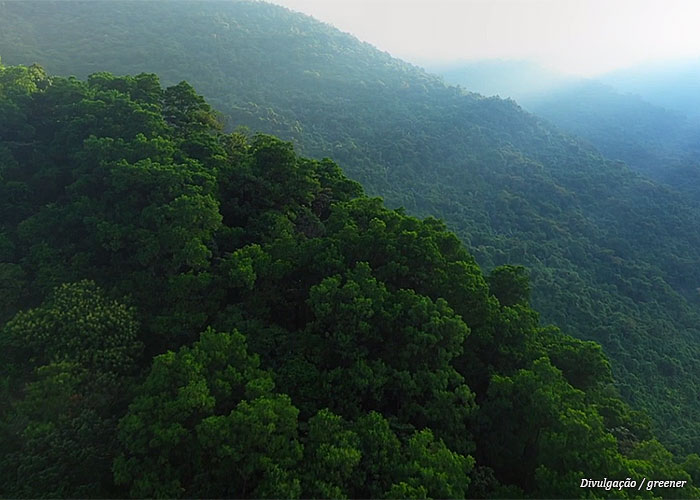 floresta-greener
