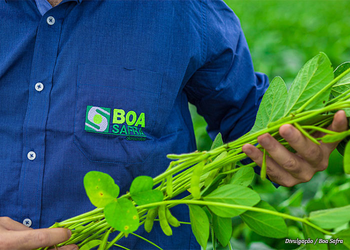 boa-safra-soja2