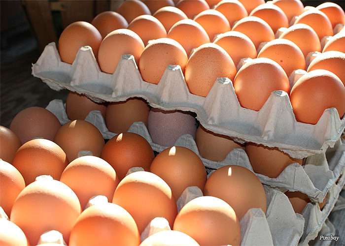 caixas-de-ovos