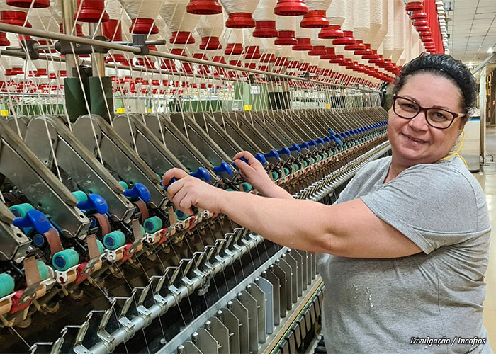textil-catarinense