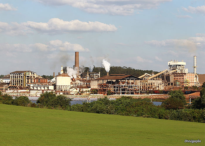usina-sao-martinho