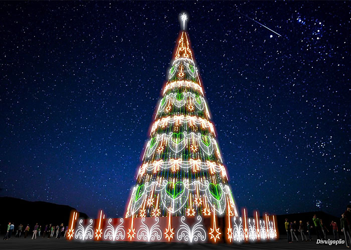 arvore-natal-lagoa23