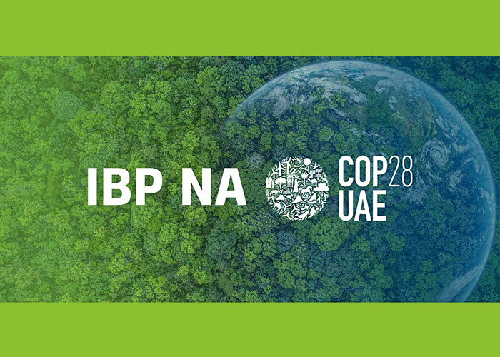 ibp-na-cop