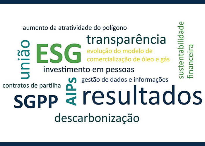 plano-ppsa