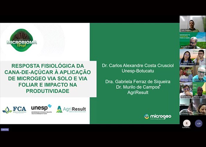 trabalho-vencedor-dmb