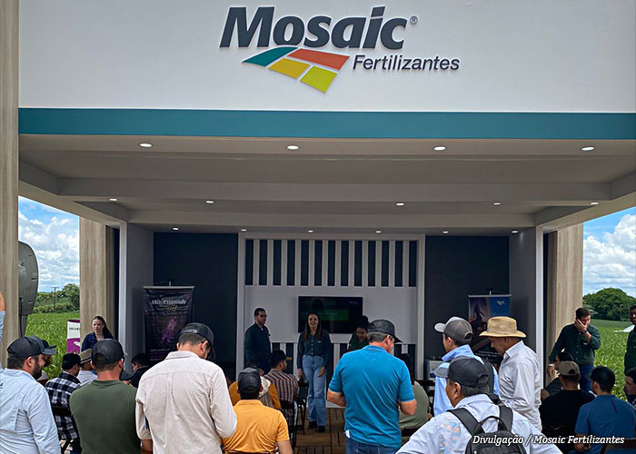plataforma-mosaic