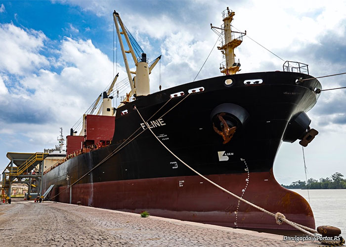 navio-fline