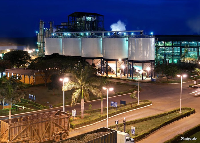 bp-bunge-bioenergia