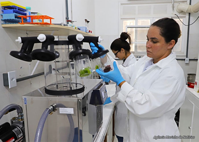 cientista-marinha1