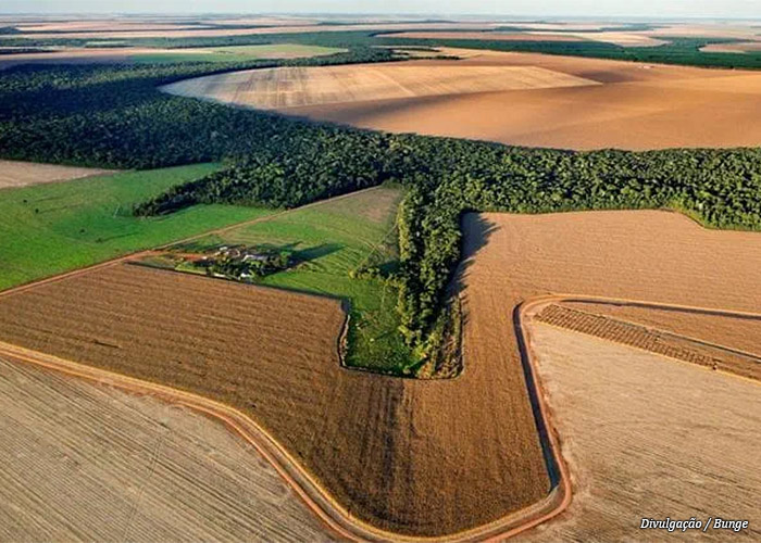 agricultura-regenerativa-bunge