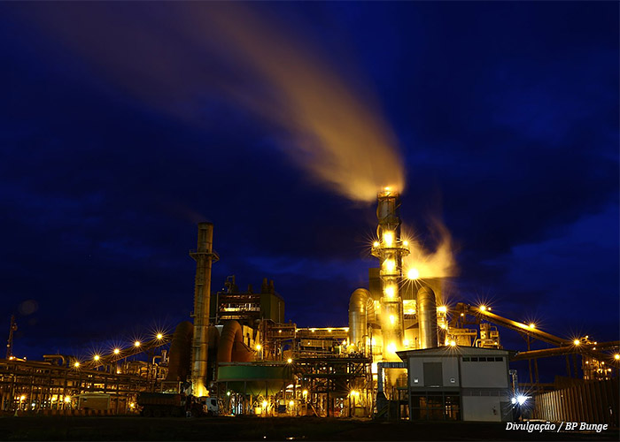 bp-bunge-bioenergia2