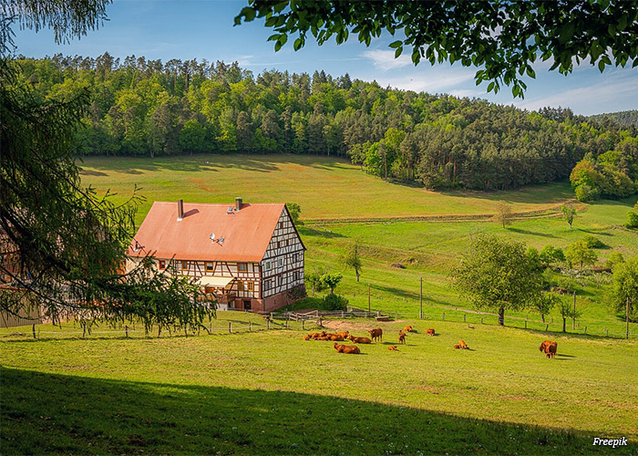 casa-na-montanha