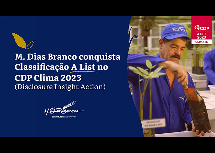 classificacao-m-dias-branco