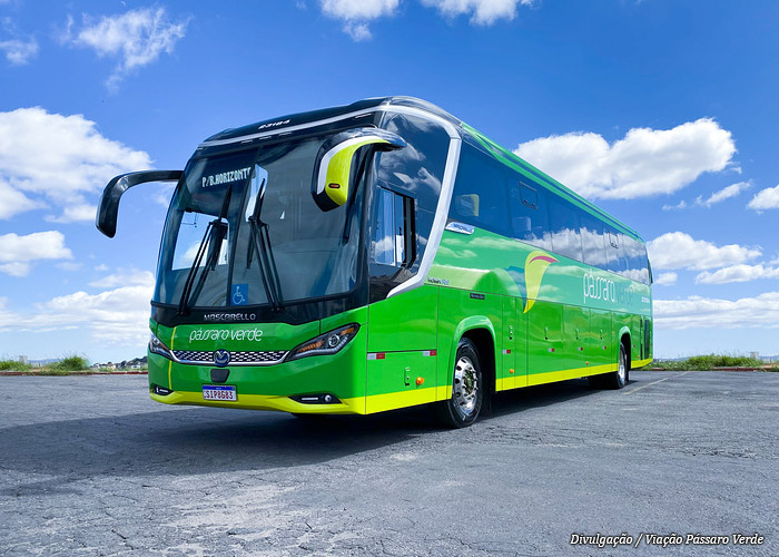 viacao-passaro-verde