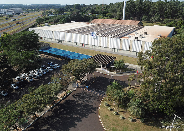 zf-araraquara