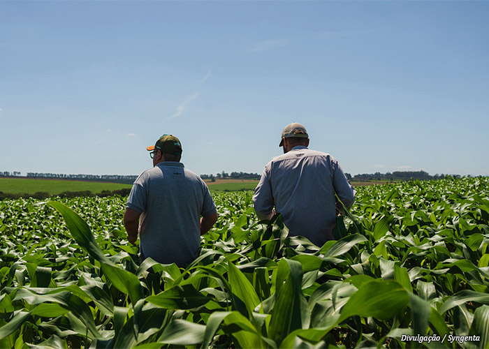 syngenta-barter