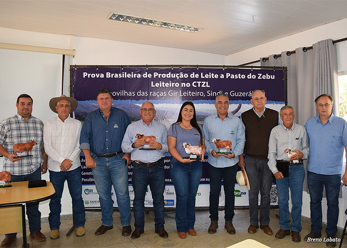 premio-novilhas