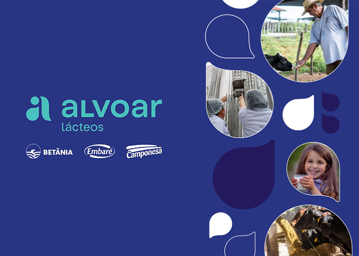relatorio-alvoar