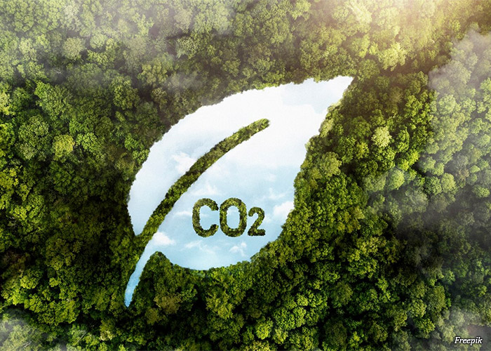 tero-carbon
