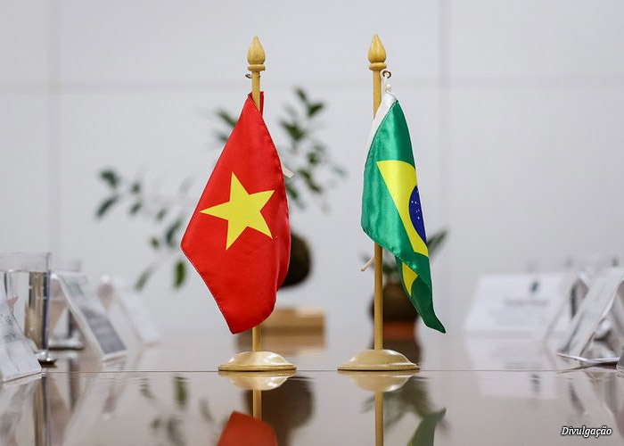 brasil-vietna