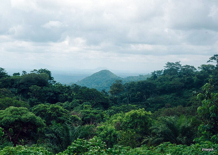 amazonia