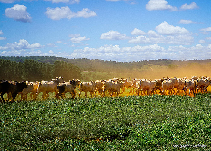certificacao-rural