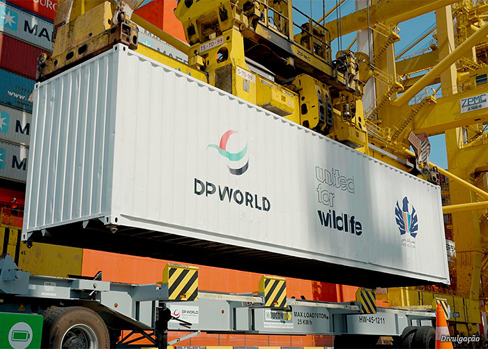 conteiner-dp-world2