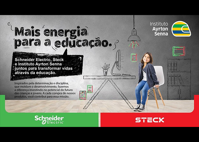 schneider-steck