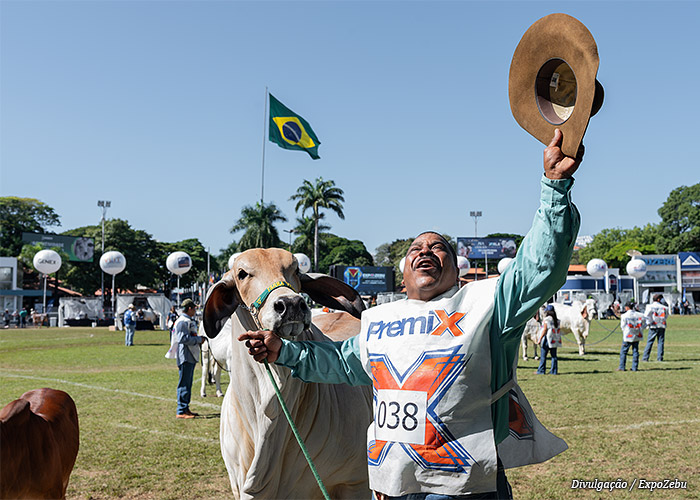 terra-verde-expo-zebu
