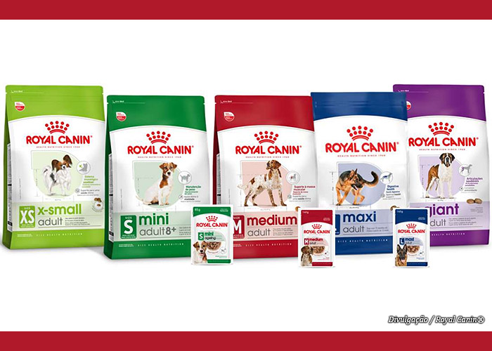 nutricao-royal-canin