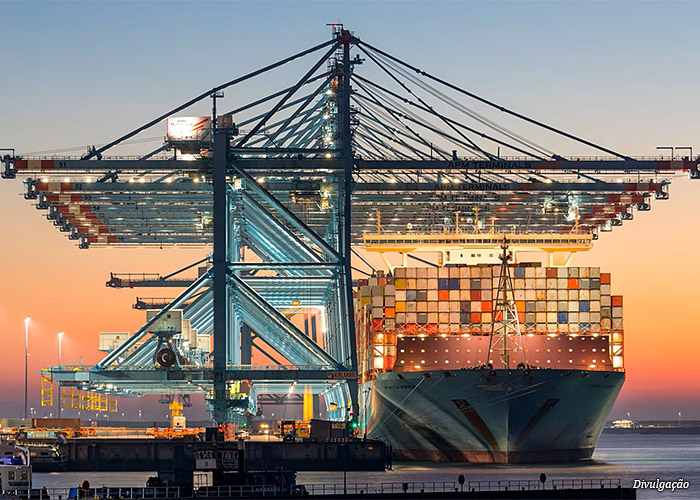 apm-terminals6
