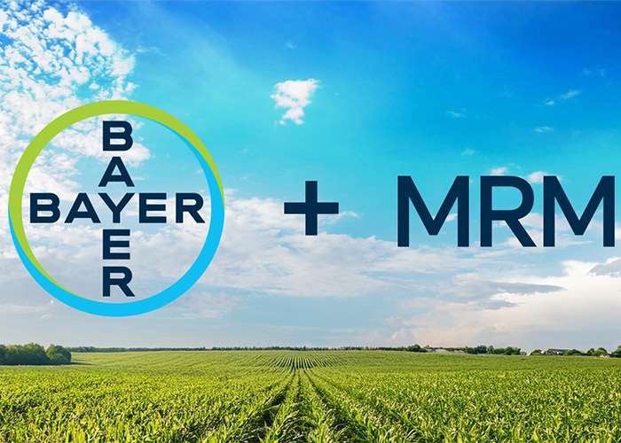 bayer-mrm