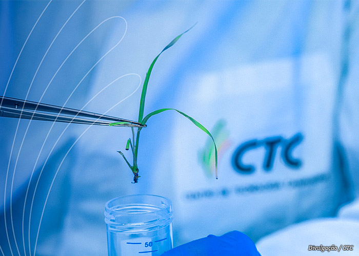 centro-tecnologia-cana