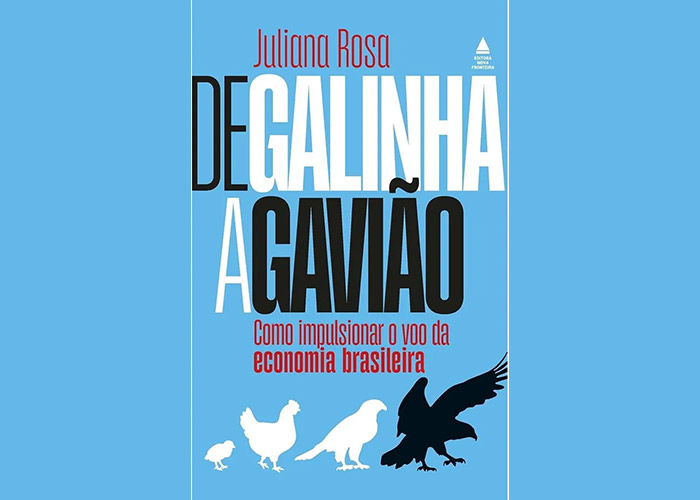 de-galinha-a-gaviao