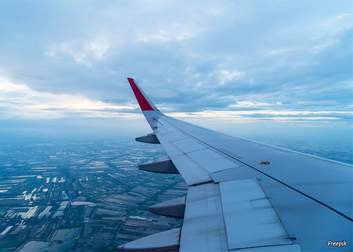 asa-de-aviao